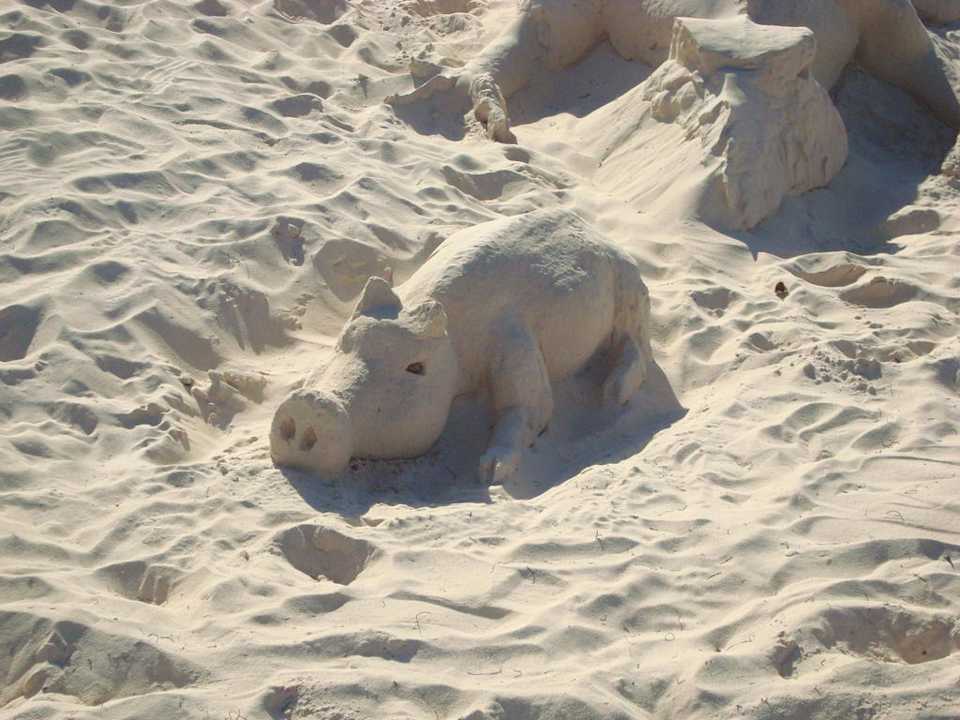 Schweizer Künstler Punta Cana Princess All Suites Resort & Spa