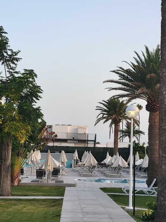 Pool Canary Garden Club