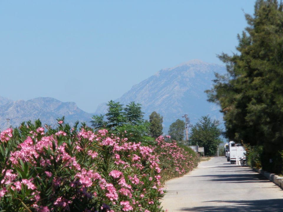 Видно горы Crystal Paraiso Aqua Collection