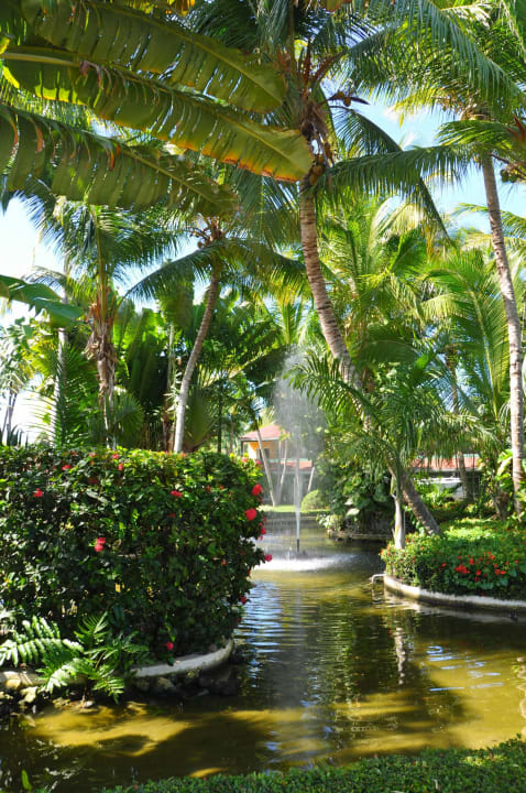 Hotel i otoczenie Grand Palladium Hotels - Palace, Bavaro Suites & Punta Cana