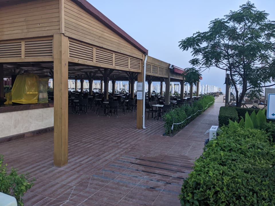 Gastro Sentido Trendy Verbena Beach