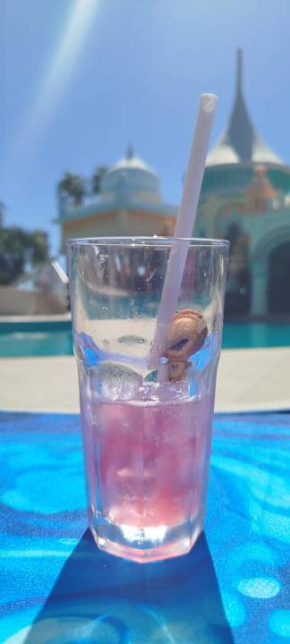 Pool Kamelya Aishen Club