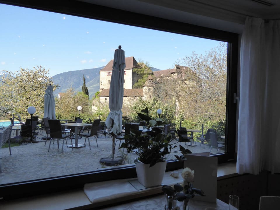 Blick vom Speisesaal Baumgartner's Blumenhotel