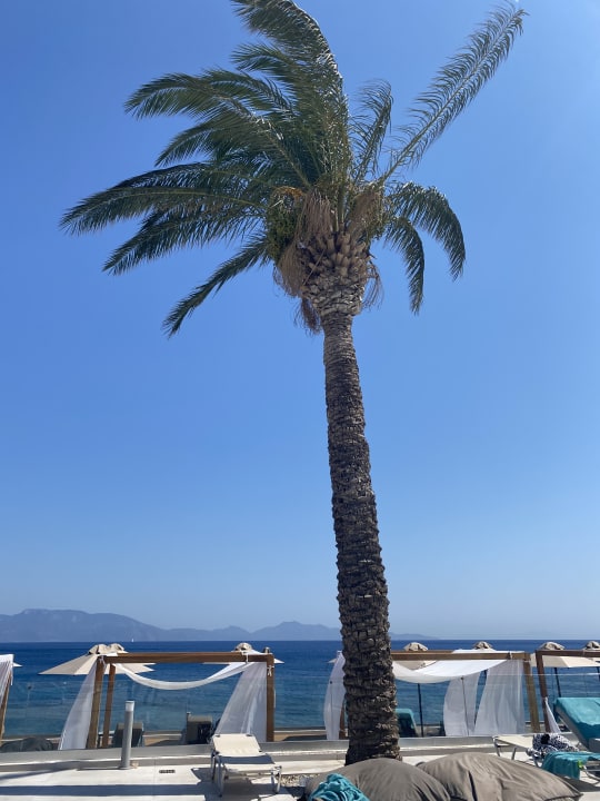 Ausblick Dimitra Beach Hotel & Suites