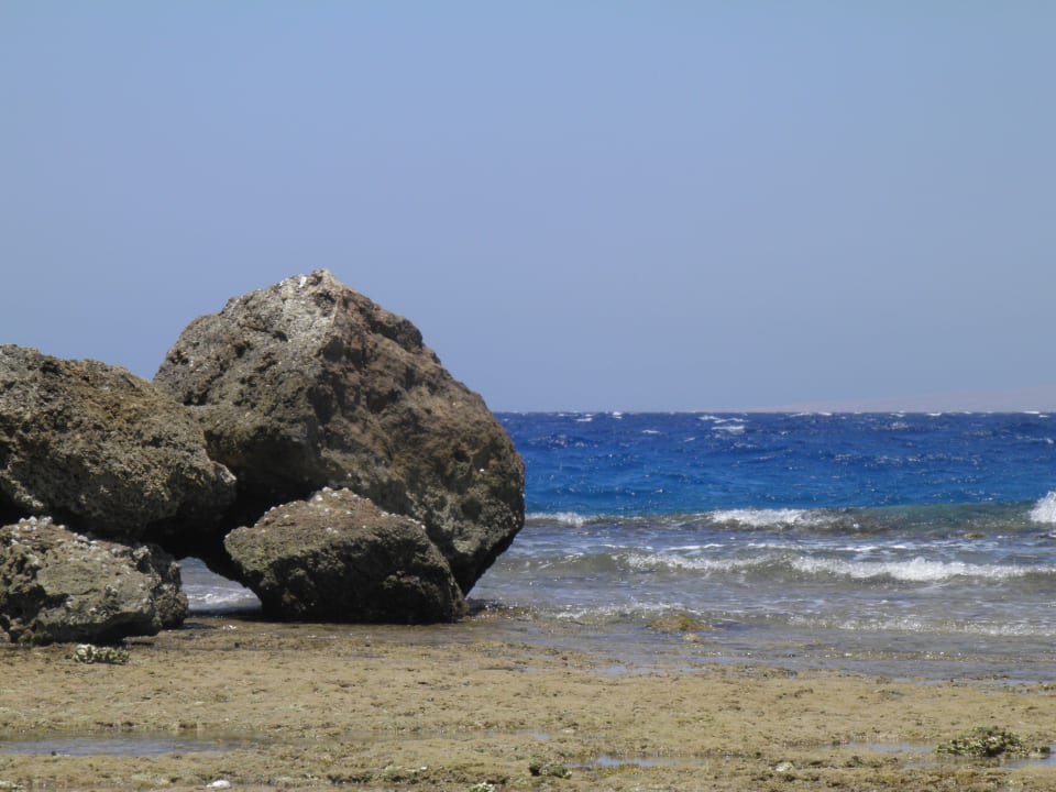 Beach number 1  Pickalbatros Citadel Resort