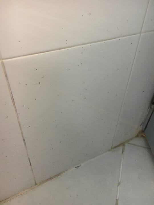 Zimmer The Green Park Resort