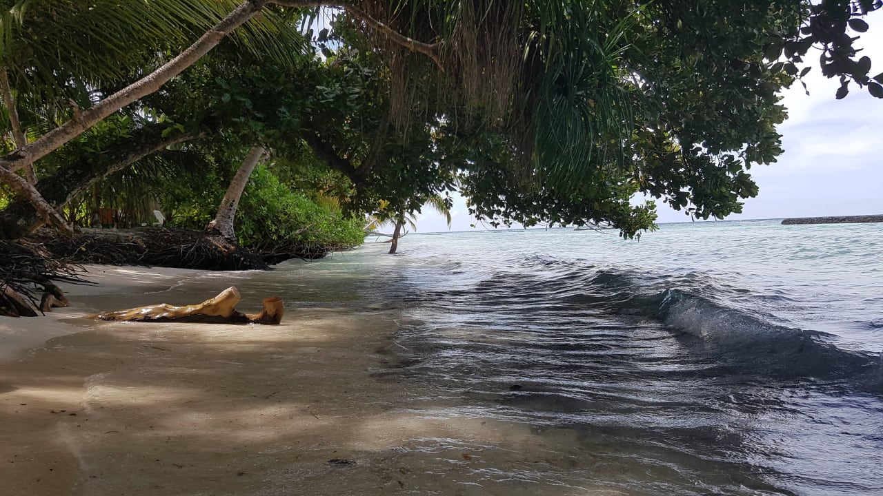 Riffseite Kuramathi Maldives