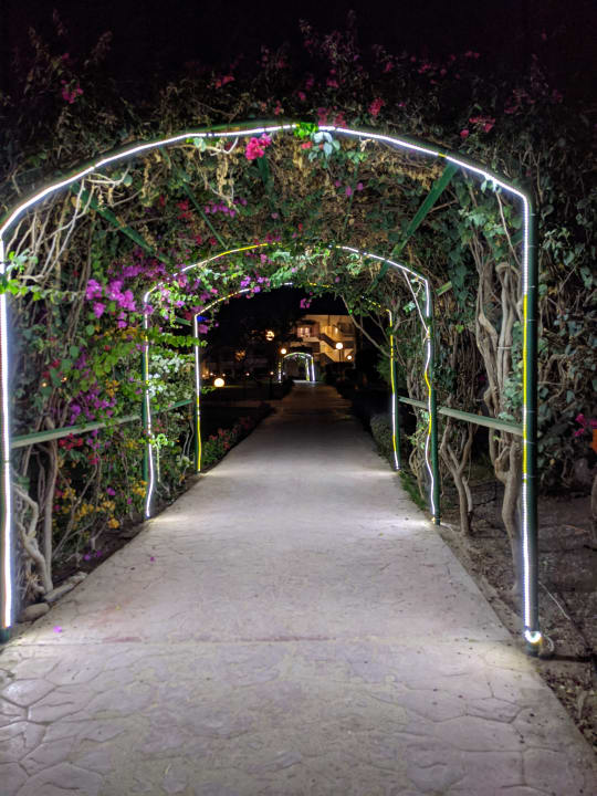 Gartenanlage Hurghada Long Beach Resort