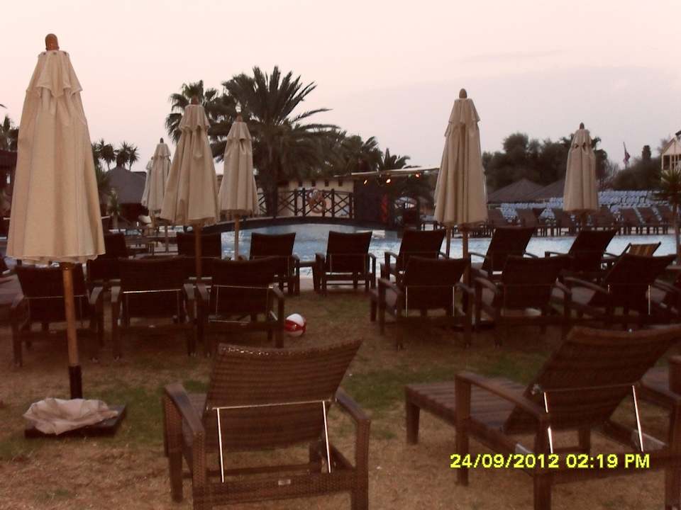 Poolanlage mit schönen Liegen  Hotel Paradis Palace