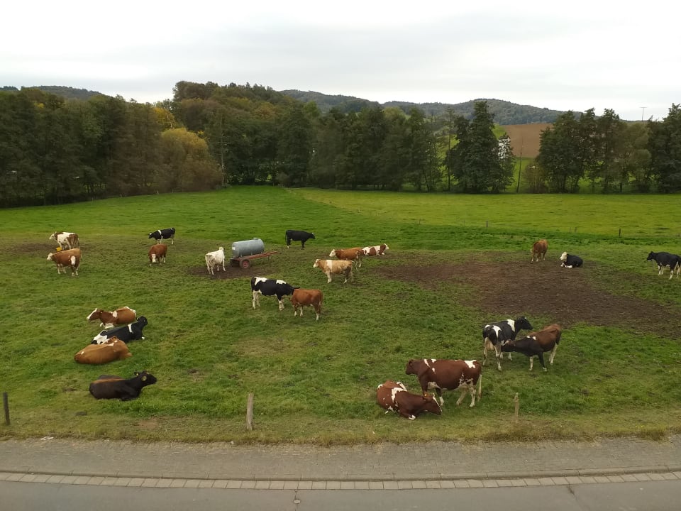 Ausblick Ferienhof Dingeldey