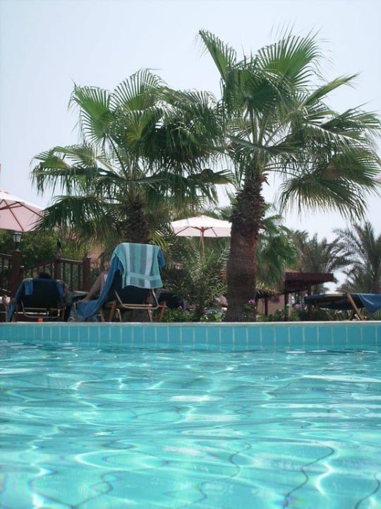 Vom Pool aus Steigenberger Coraya Beach - Adults only