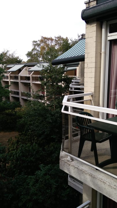 Ausblick Center Parcs De Vossemeren