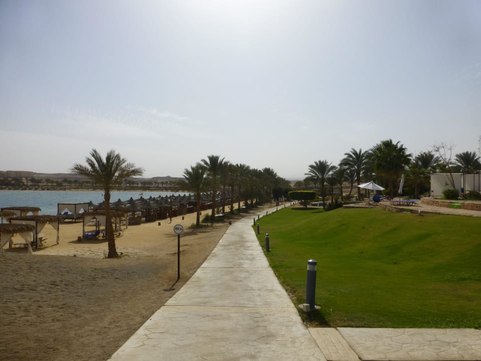 Weg zum Strand Steigenberger Coraya Beach - Adults only