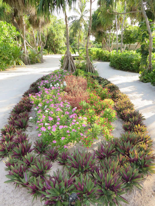 Gartenanlage Kudafushi Resort & Spa