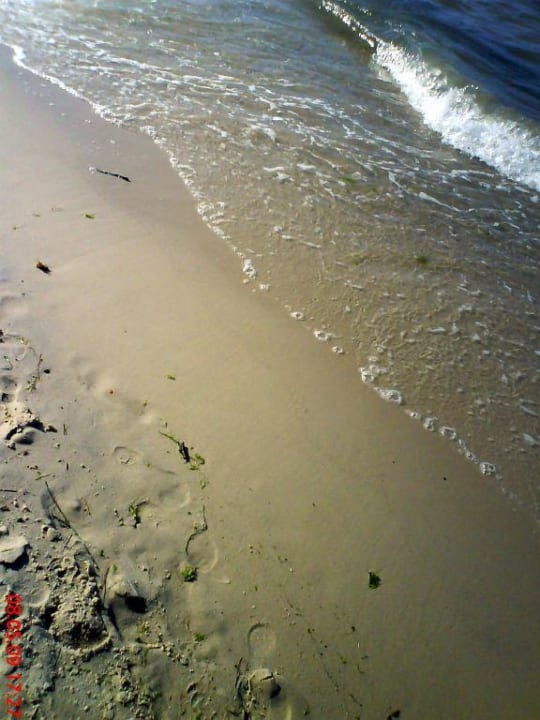 Nicht so schönes Strandstück Hotel El Mouradi Skanes Beach