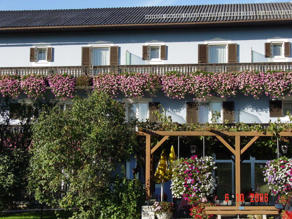 Oben Zimmer, unten Weinlaube Hotel Gasthof Scheer