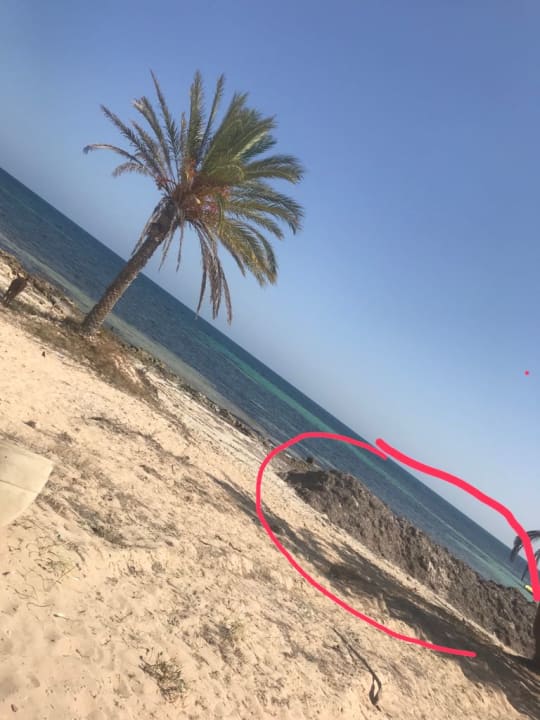 Strand Hotel El Mouradi Djerba Menzel