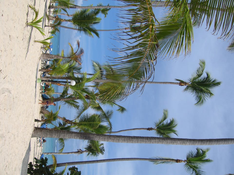 Strand neben dem Pool Hotel Riu Palace Macao - Adults only