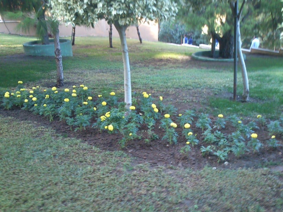 Blumen Voyage Belek Golf & Spa