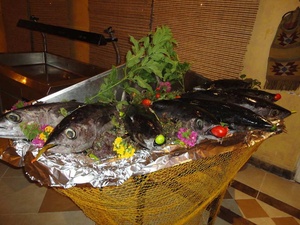 Abendessen im Restaurant Pickalbatros Alf Leila Wa Leila Resort - Neverland Hurghada