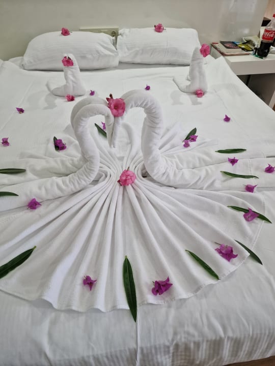 Zimmer Seaden Sea World Resort & Spa