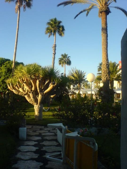 Blick aus dem Bungalow Sahara Beach Club