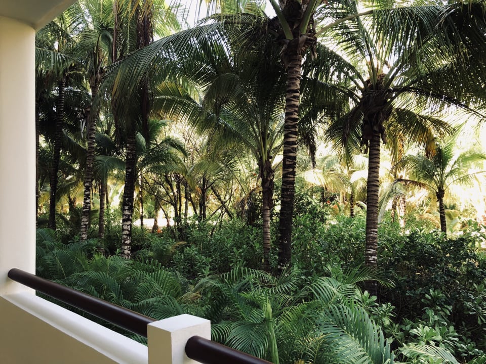 Gartenanlage Akumal Bay Beach & Wellness Resort