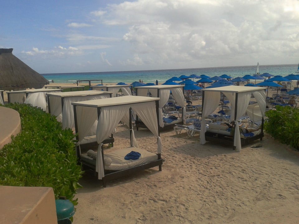 1001 Nacht! The Reef Playacar