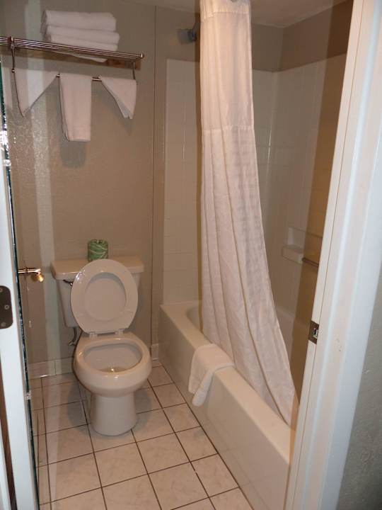 Gepflegte Toilette und Dusche! Super 8 Hotel Ellenton Bradenton Area