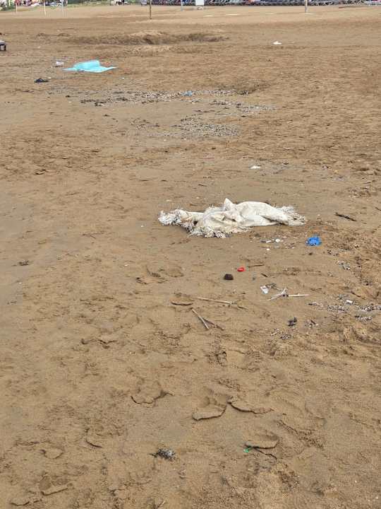 Strand Hotel Orfeus Park