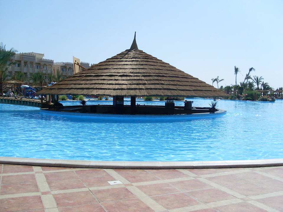 Unsere Pool Bar Pickalbatros Palace Resort