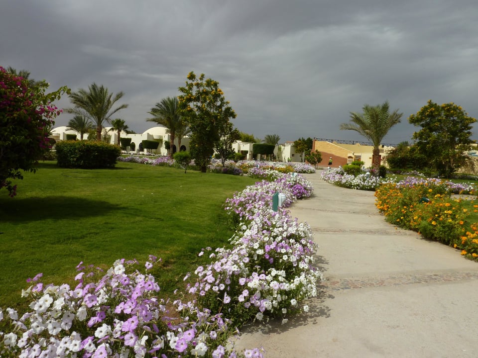 Hotelanlage mit Amphitheater im Hintergrund Desert Rose