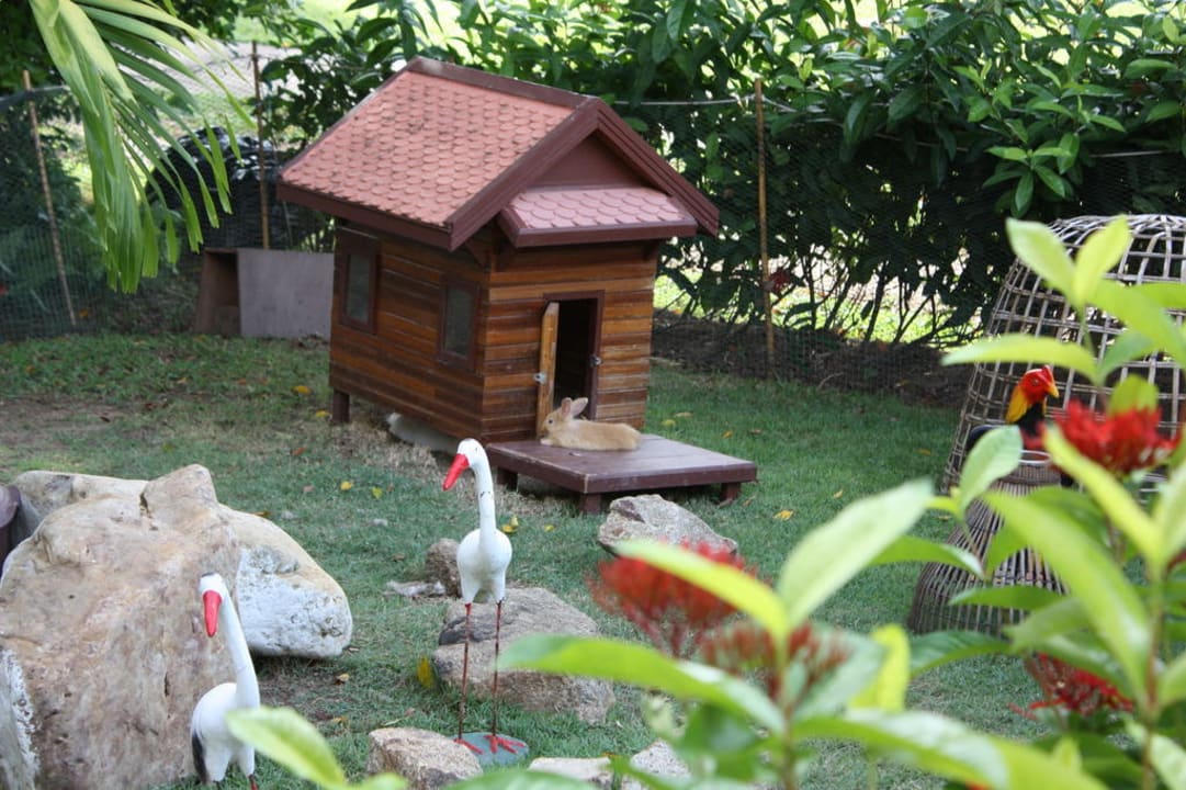 Die Hasenfarm Santiburi Koh Samui