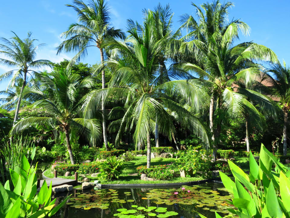 Gartenanlage Bo Phut Resort & Spa