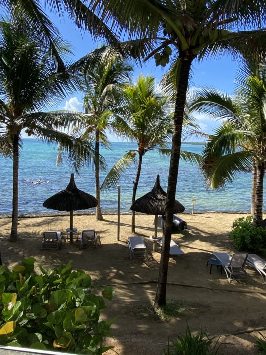 Ausblick Tropical Attitude - Adults only