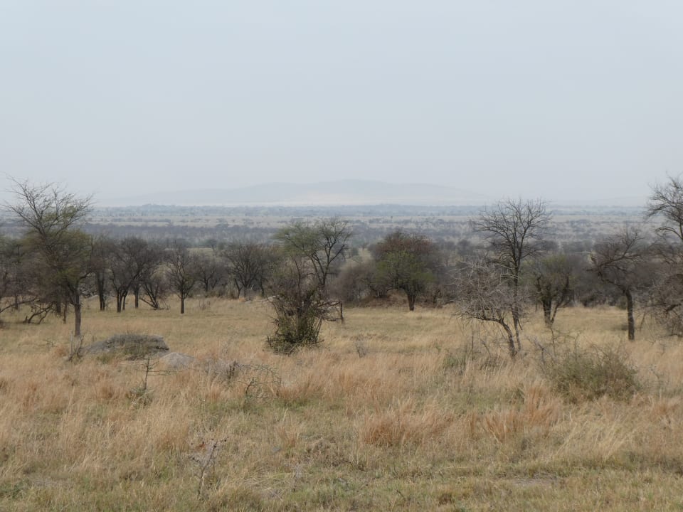 Ausblick Serengeti Wildebeest Camp