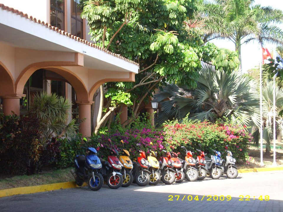 Rollergarde Starfish Cuatro Palmas