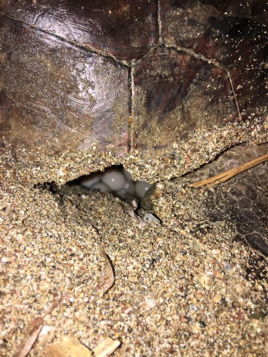 Strand As Queen Beach