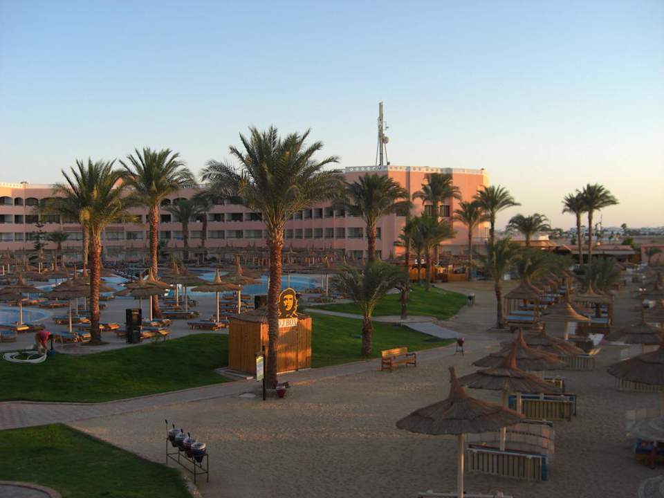Blick zum Hauptpool Beach Albatros Resort