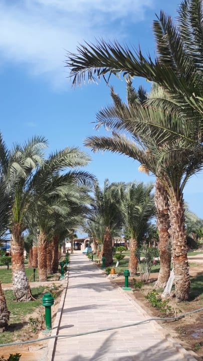 Gartenanlage Pensée Royal Garden Beach Resort