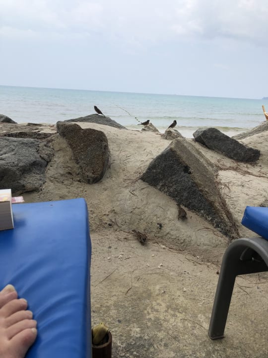 Ausblick Best Western Premier Bangtao Beach Resort & Spa