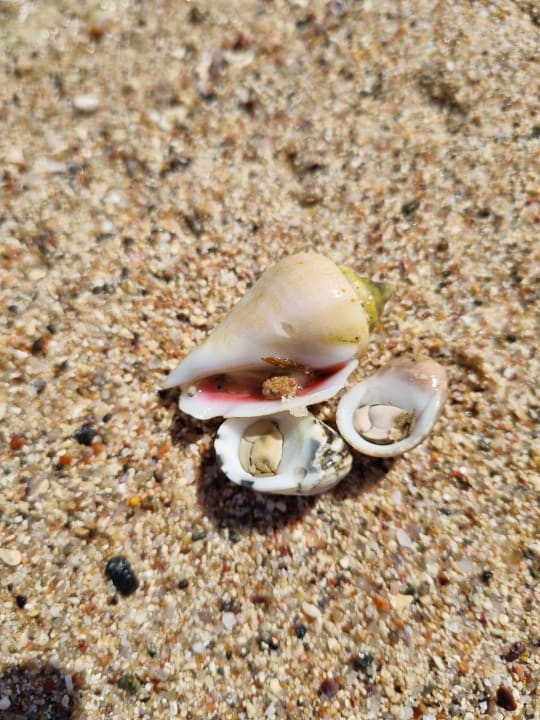 Strand Three Corners Sea Beach Resort