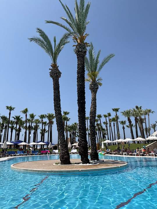 Pool Monachus Family Resort Sorgun