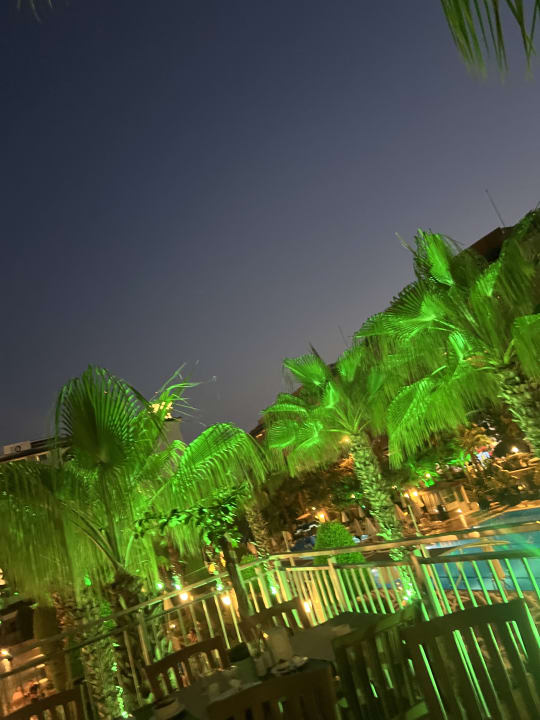 Gartenanlage Dizalya Palm Garden