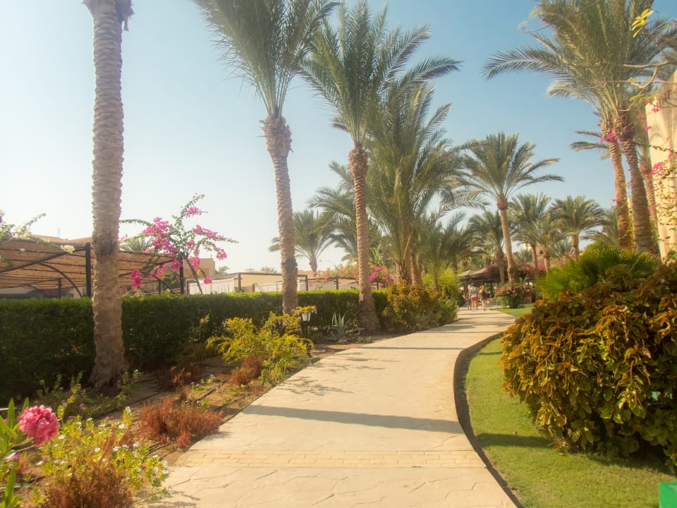 Gartenanlage Steigenberger Coraya Beach - Adults only