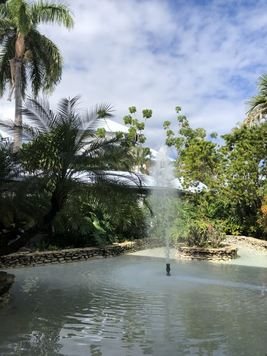 Gartenanlage Grand Paradise Playa Dorada