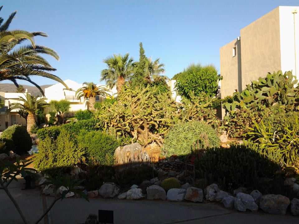 Wunderschöne Bepflanzung Phãea Cretan Malia