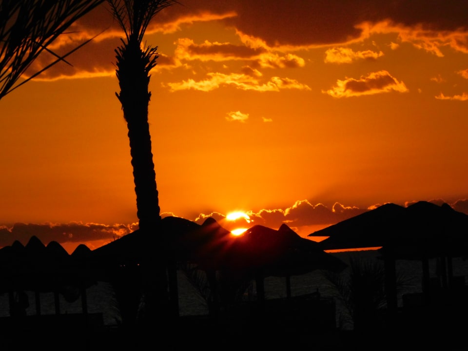 Ausblick Pickalbatros Sands Hotel - Port Ghalib