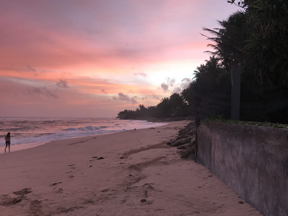 Strand Hotel Haus am Meer Wilde Ananas
