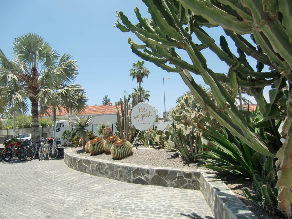 Hier ist man willkommen Hotel Gold by Marina